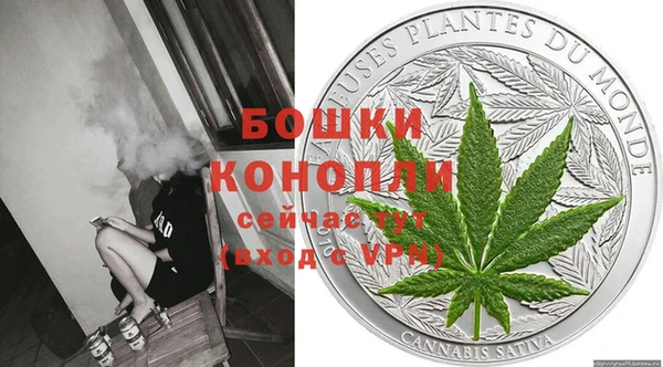 винт Болотное