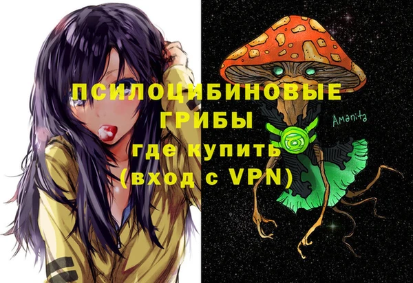 прущий лед Арсеньев