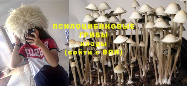 бошки Армянск