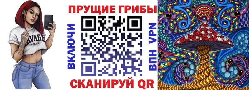 цены   Заинск  Галлюциногенные грибы мухоморы 