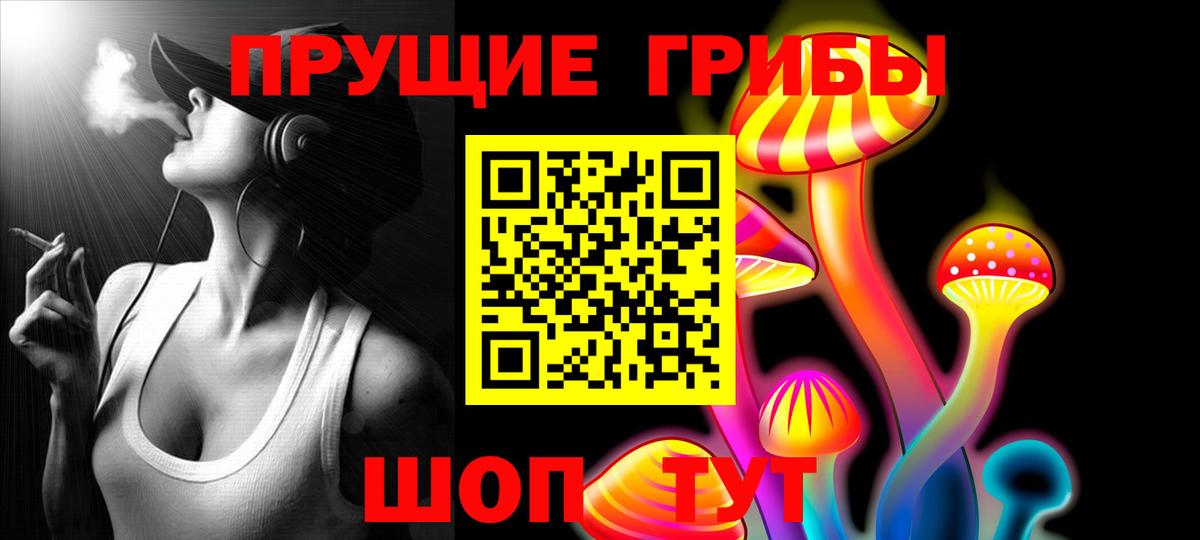 Псилоцибиновые грибы MAGIC MUSHROOMS  купить наркотики сайты  Заинск  Вход с VPN 